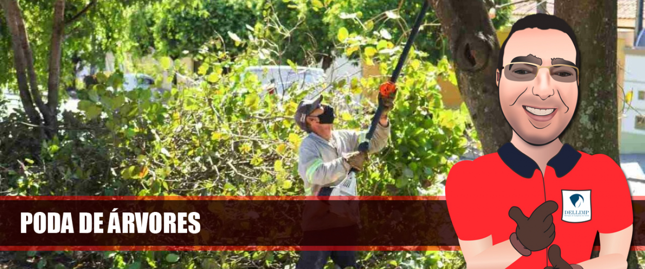 Servi&ccedil;o de Poda de &Aacute;rvores